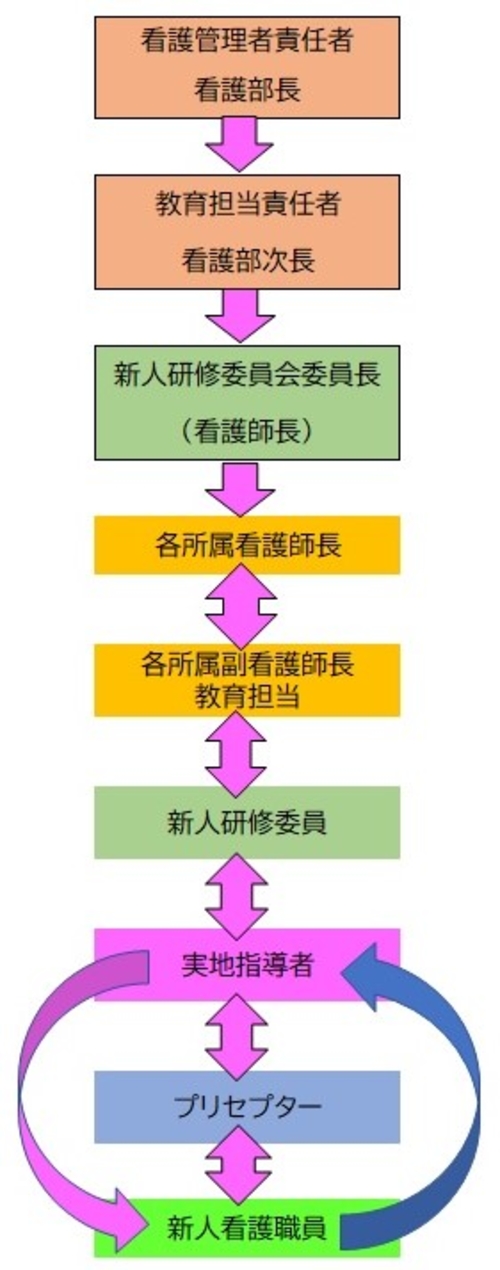 新人看護職員教育の体制 新人看護職員教育の体制