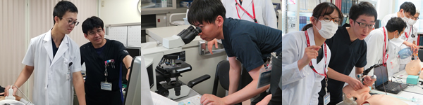 研修の様子