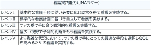 ラダ―システム