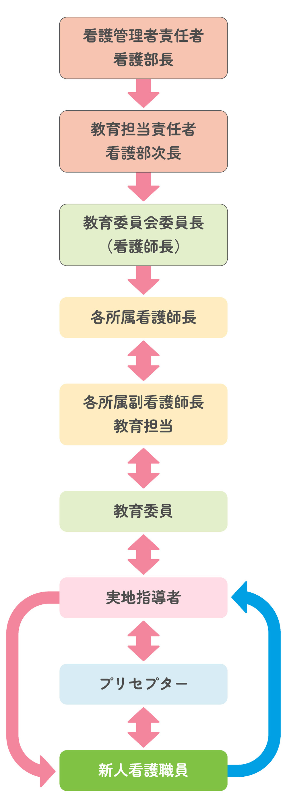 新人看護職員教育の体制