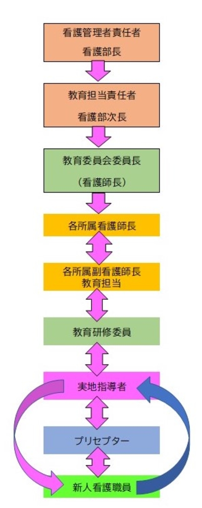 新人看護職員教育の体制 新人看護職員教育の体制の図