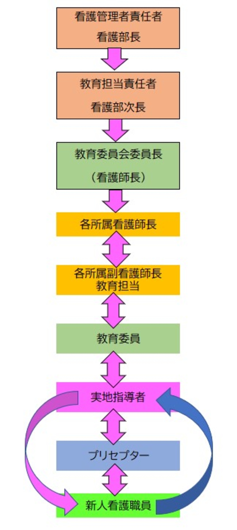 新人看護職員教育の体制 新人看護職員教育の体制